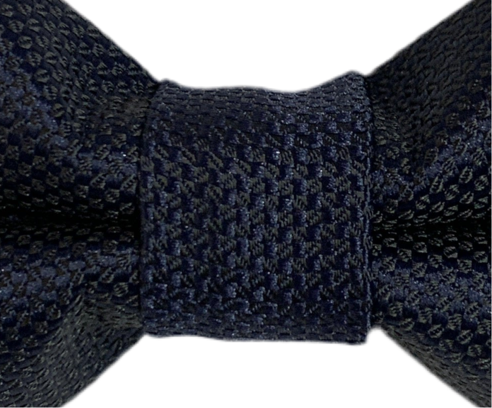 Papillon 15 - blu tramato