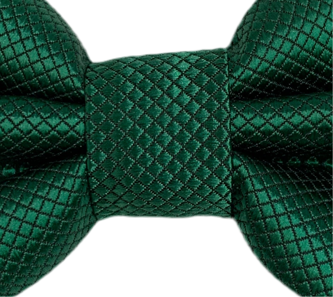 Papillon 15 - verde quadrettato