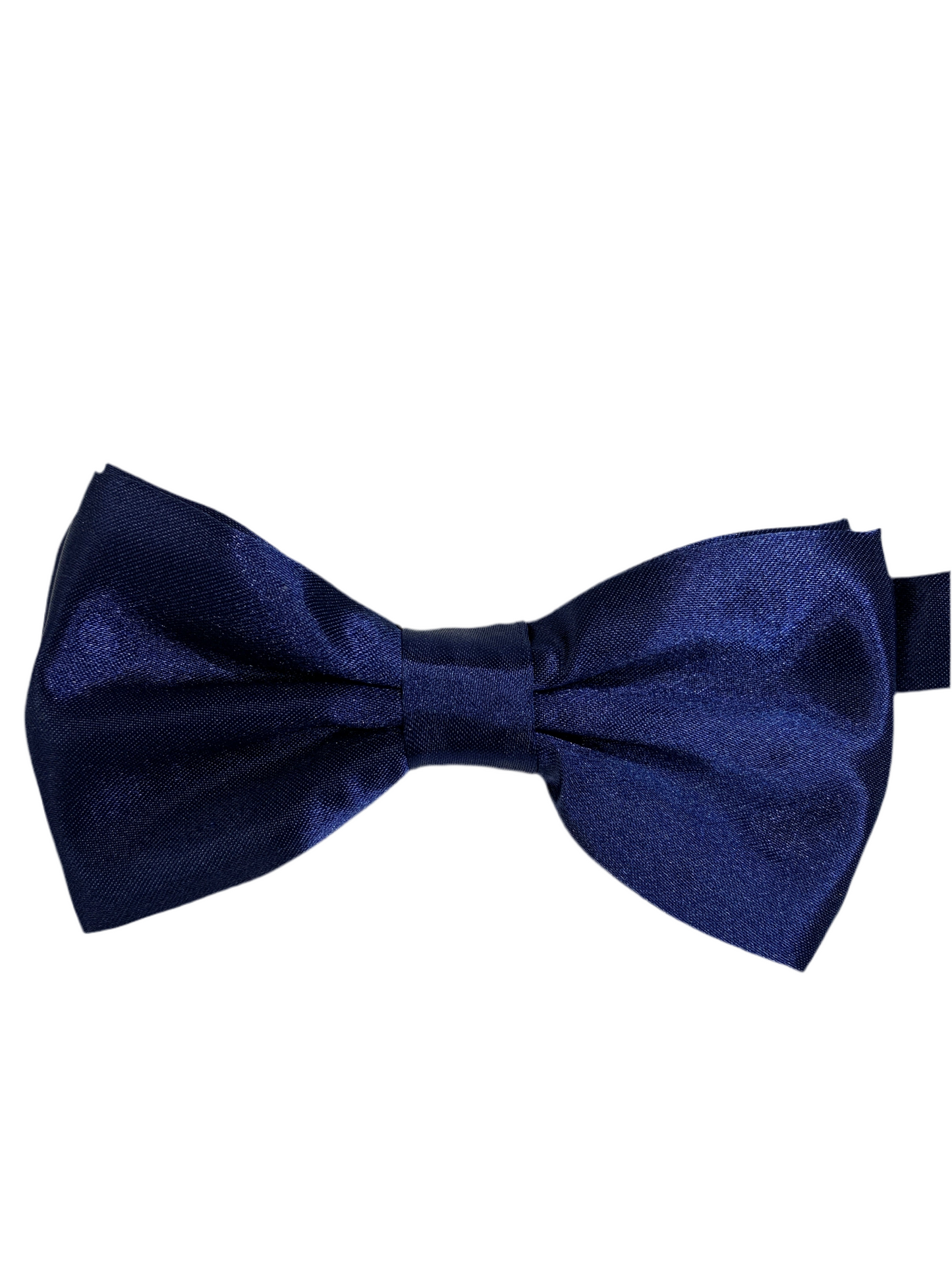 Papillon 16 - bluette