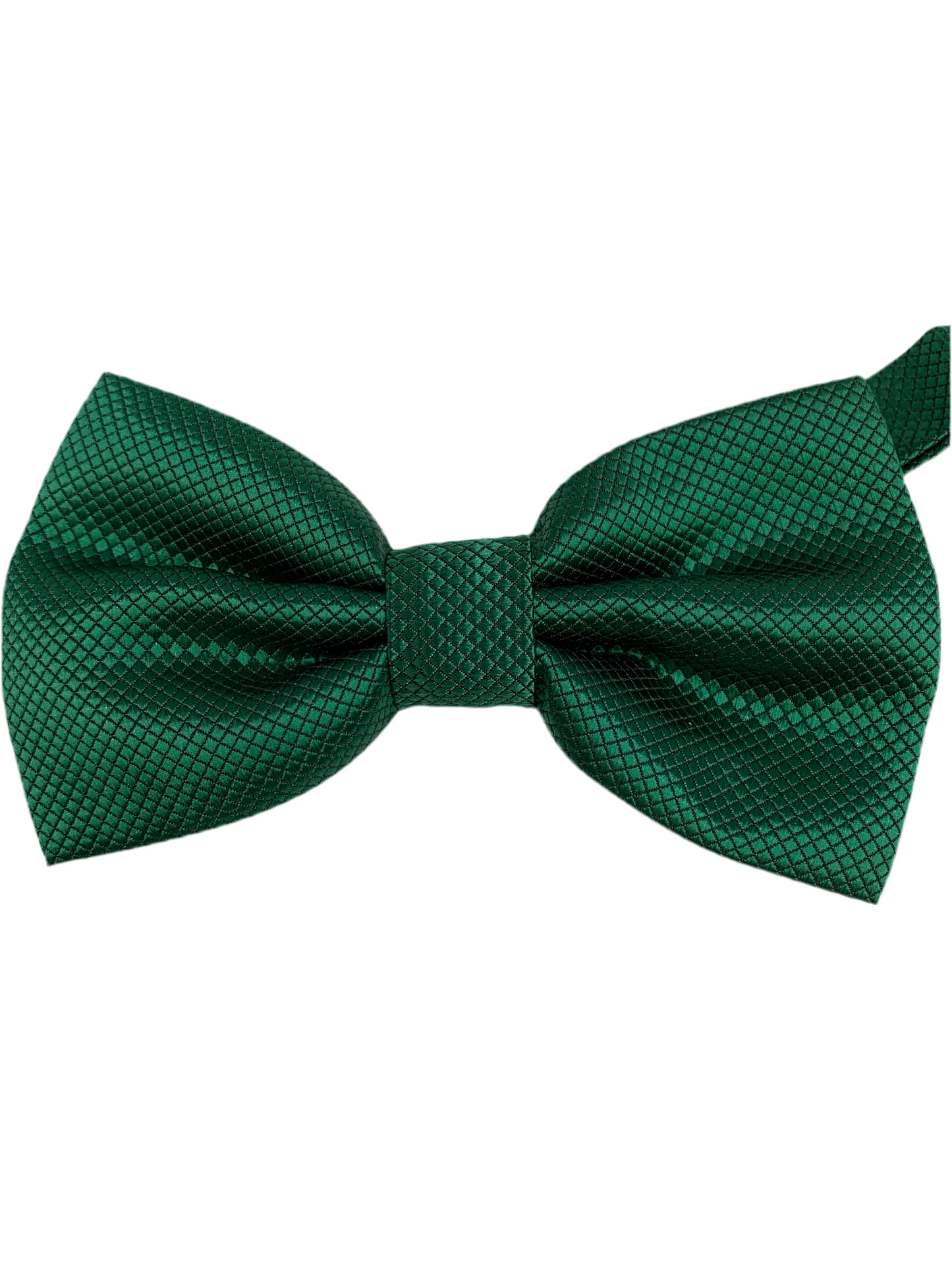 Papillon 15 - verde quadrettato