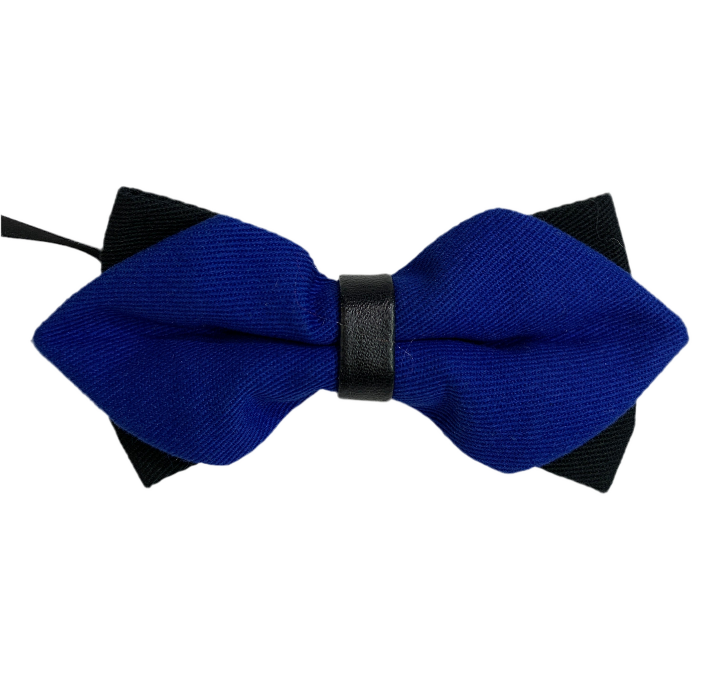 Papillon 01 - blu royal